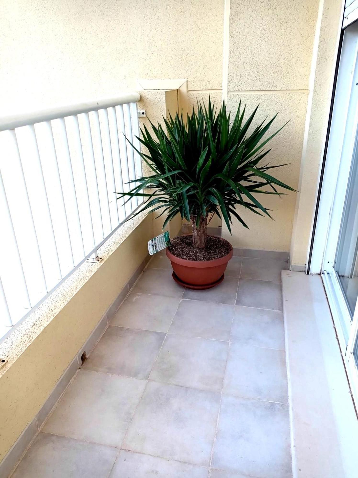 Apartamento Playasol Дения Экстерьер фото